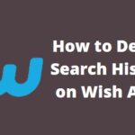 HDelete Search History on Wish App